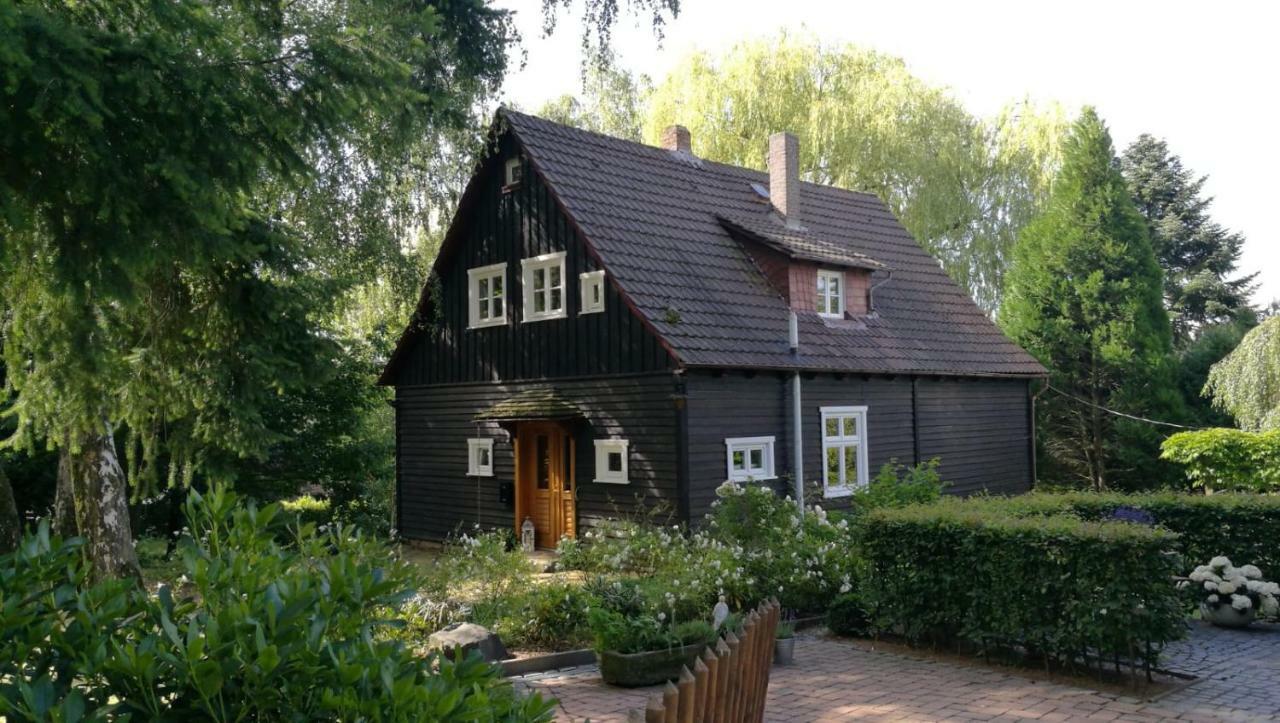 "Haus Am Knobben" Villa Uslar Dış mekan fotoğraf