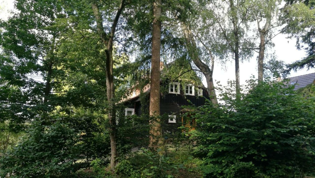 "Haus Am Knobben" Villa Uslar Dış mekan fotoğraf
