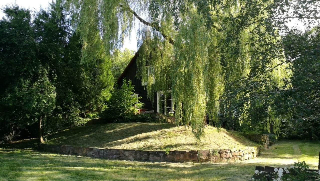 "Haus Am Knobben" Villa Uslar Dış mekan fotoğraf